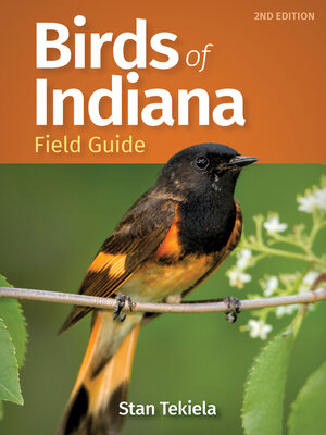 cover image of Birds of Indiana Field Guide